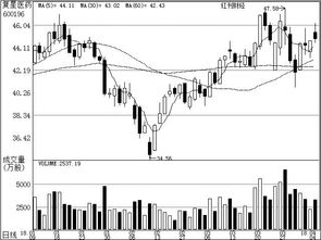 机构聚焦基础软件开发 投资逻辑与核心标的解析