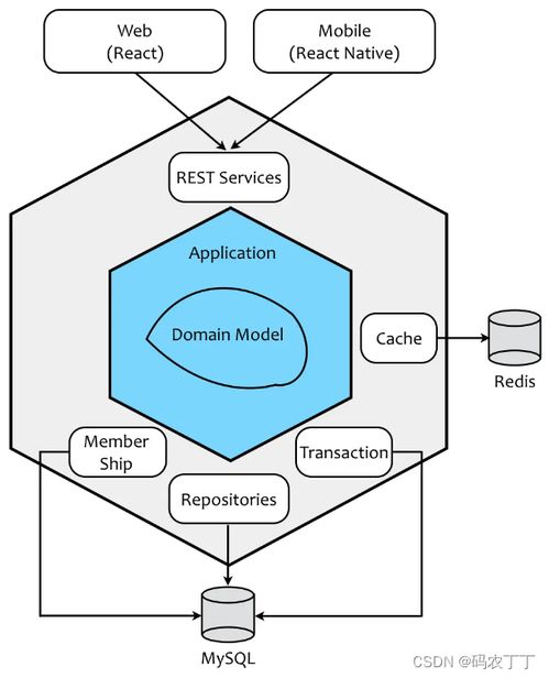 领域驱动设计 应对基础软件开发复杂度的核心思想与实践